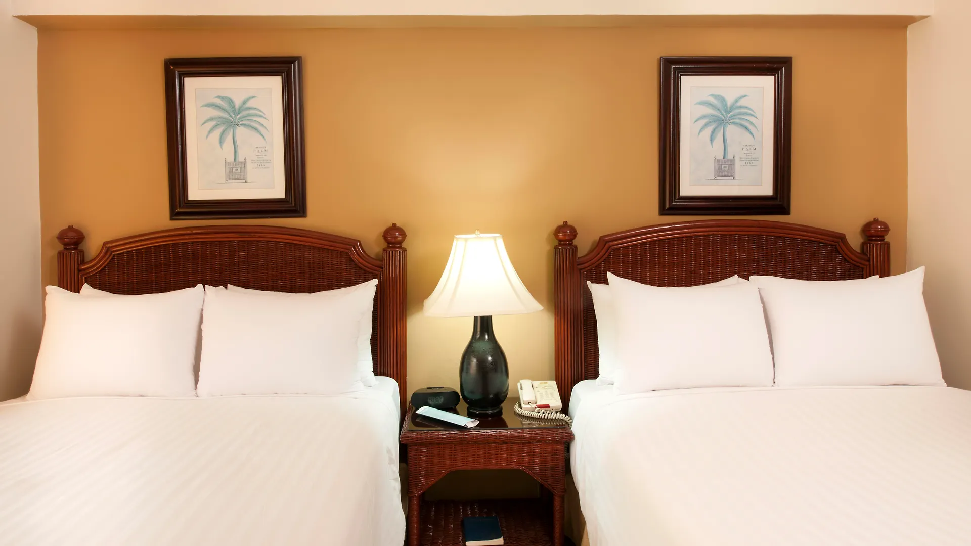 **** Resort Occidental Caribe Hotel Punta Cana Dominican Republic